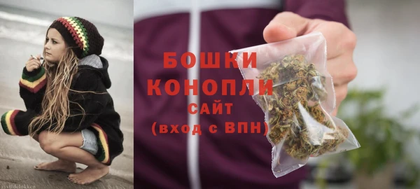 амф Горняк