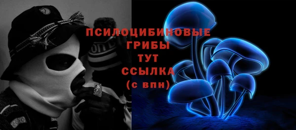 Альфа ПВП Горнозаводск