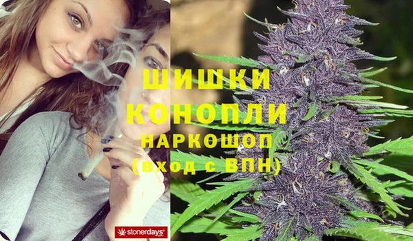 амф Горняк