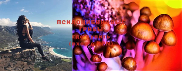 Альфа ПВП Горнозаводск