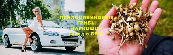 дживик Чегем