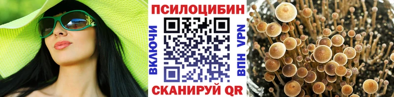 Галлюциногенные грибы мицелий Октябрьск